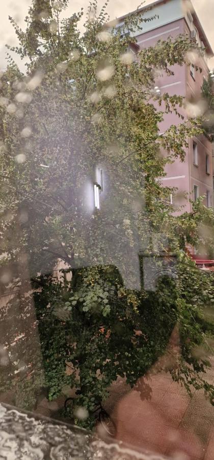 Heart Of Tirana Apartment Bagian luar foto